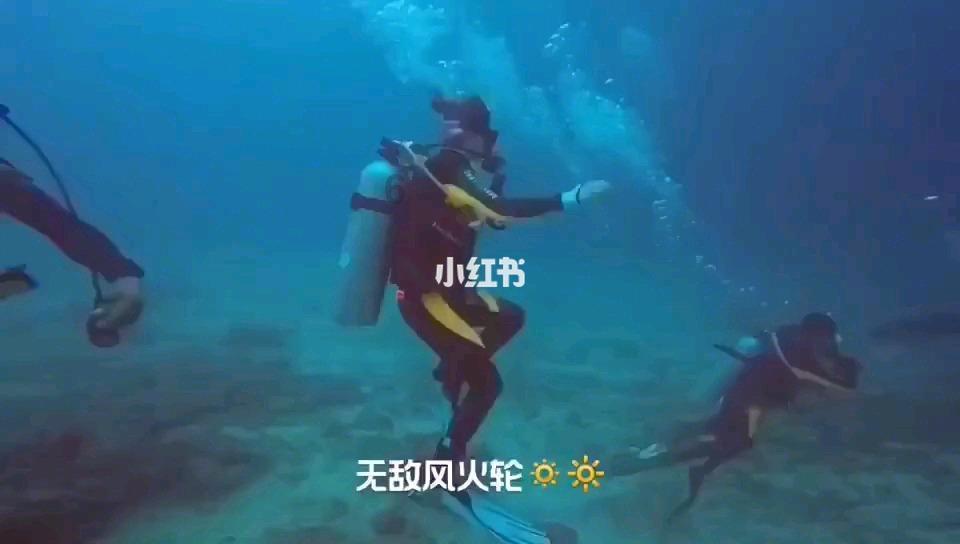优知问答-快速解答你的问题