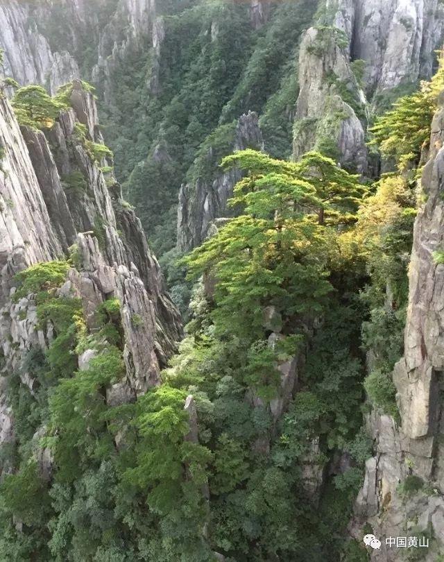 小猫钓鱼开船版最新版下载